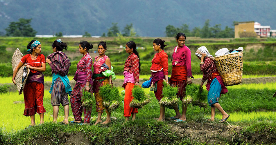 Nepal Village Life