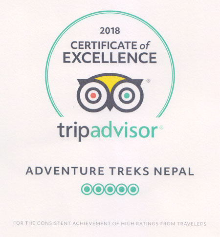Trip Advisor 2018