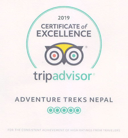 Trip Advisor 2019